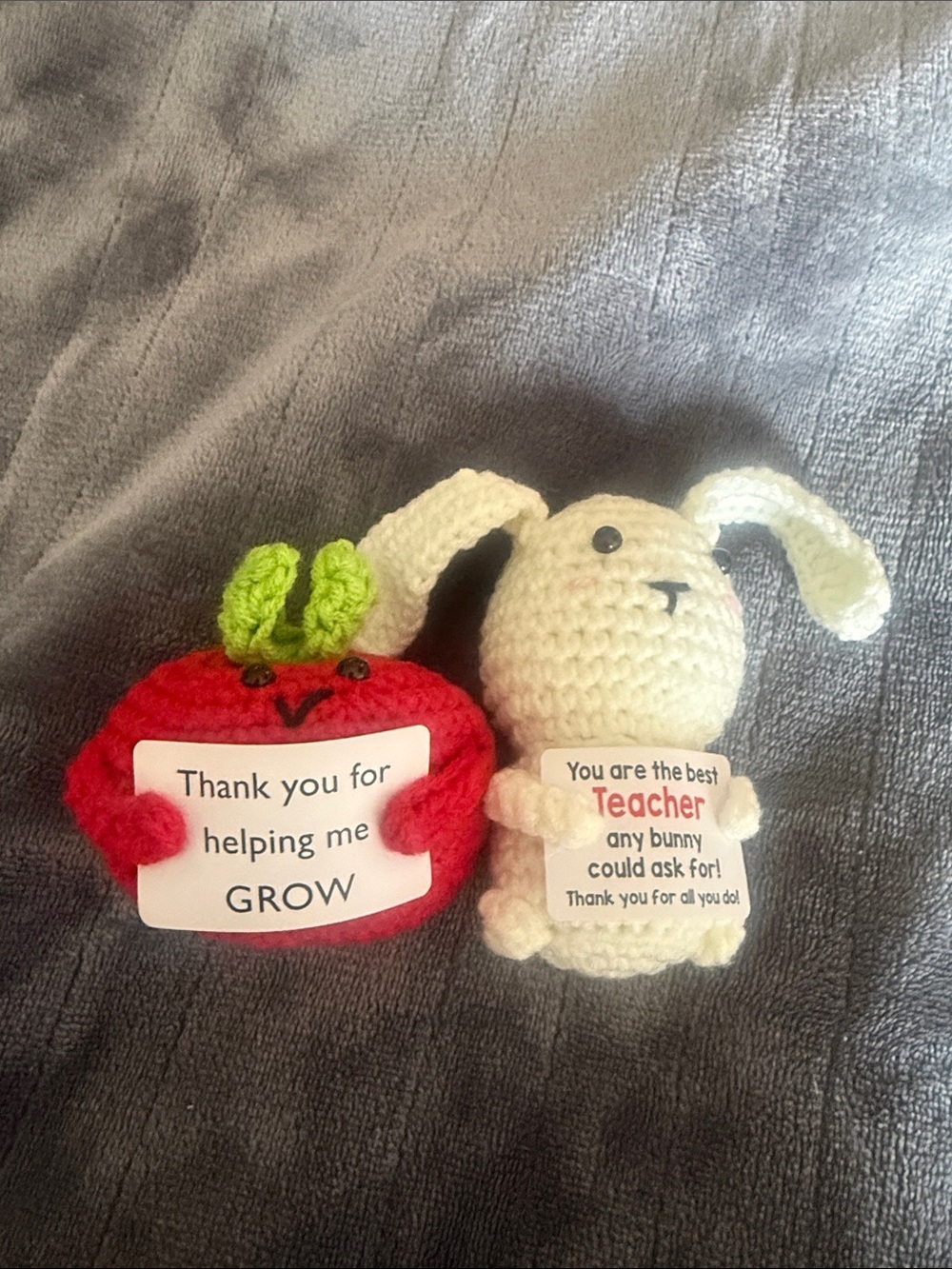 Set of 2 Teacher Crochet Gifts 🍎